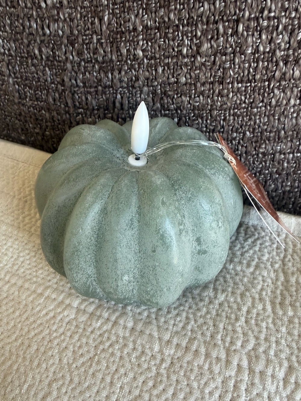 Viral Hobby Lobby Rustic Sage Green LED Pumpkin Accent